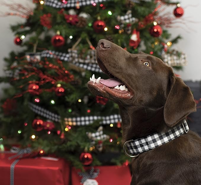 Country Brook Petz - Deluxe Black & White Buffalo Plaid Dog Collar - Made in The U.S.A. - Plaid and Argyle Collection Featuring Charming Designs (1 Inch, Extra Large)