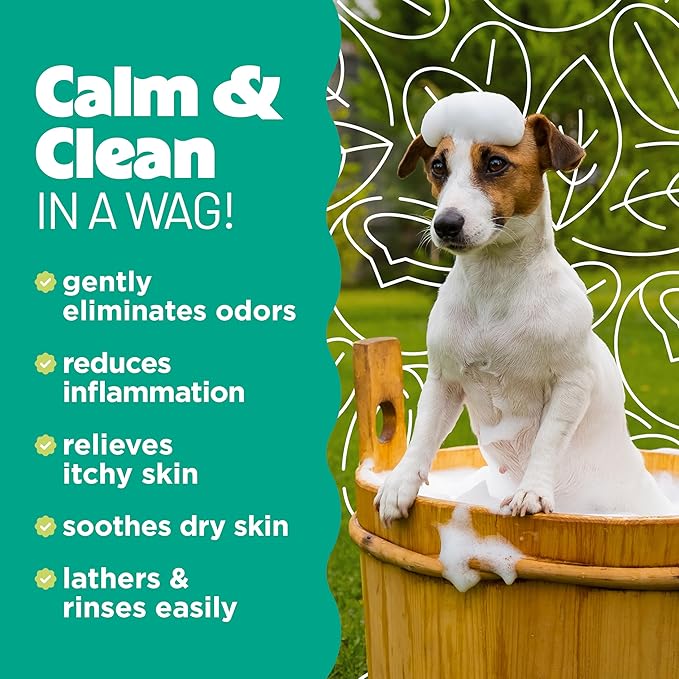 TropiClean Oatmeal Dog Shampoo for Itchy Skin Relief, Soothing Medicated Itch Relief, with Vitamin E, Puppy Safe, Made in USA, Cat Friendly, 20 oz.