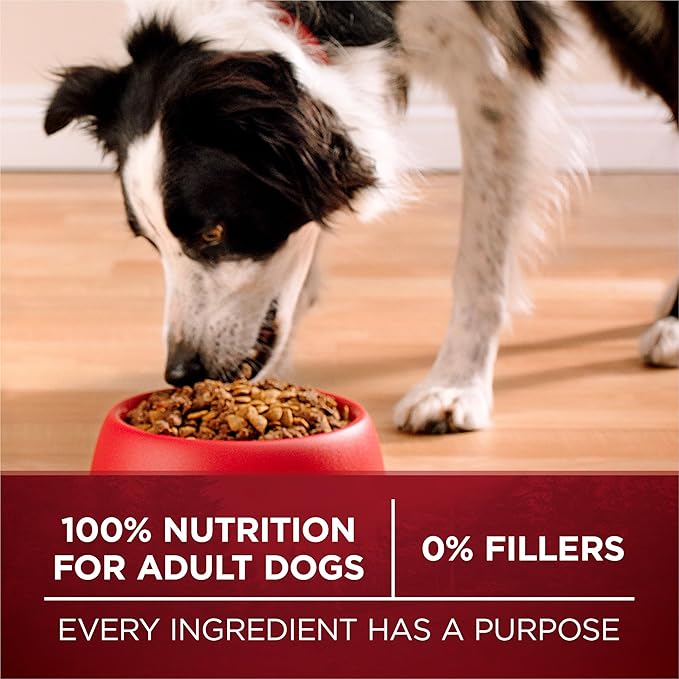 Purina ONE Natural High Protein Dry Dog Food Dry True Instinct with Real Beef and Salmon With Bone Broth and Added Vitamins, Minerals and Nutrients - (Pack of 4) 3.8 lb. Bags