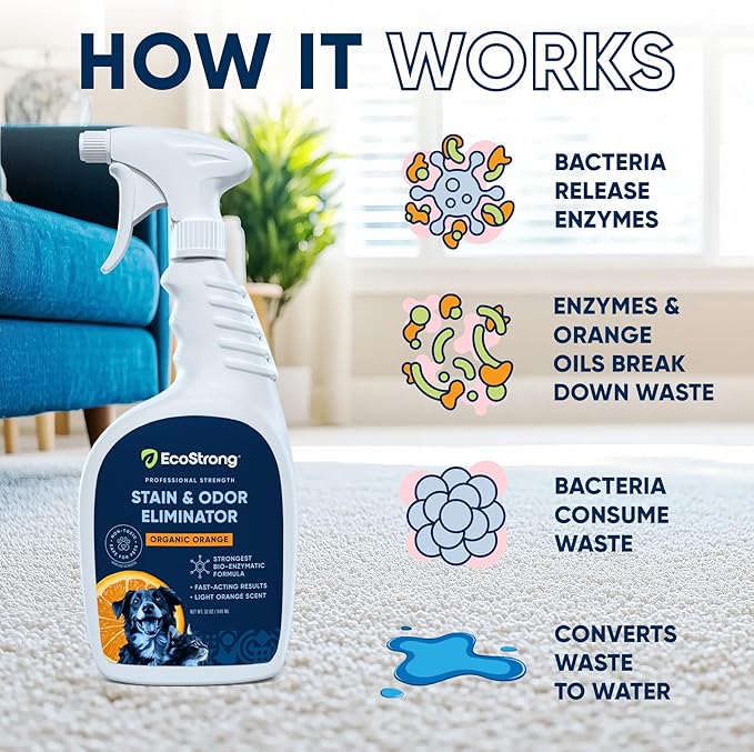 Orange Odor Eliminator | Pet Odor Deodorizer for Strong Odor | Enzyme Stain Cleaner for Cats, Dogs, and Pets | Great for Carpets, Furniture, Dog Kennels, and More (32 Fl Oz)