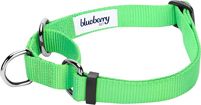 Blueberry Pet Essentials Martingale Safety Training Dog Collar, Neon Green, Medium, Heavy Duty Nylon Adjustable Collars for Dogs