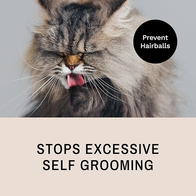 Eye Envy ProGlide Deshedding and Detangling Comb for Long-Haired Cats | Remove Undercoat, Excess Hair, Tangles & Knots | 6" Dual-Tooth Comb with Rounded Pins