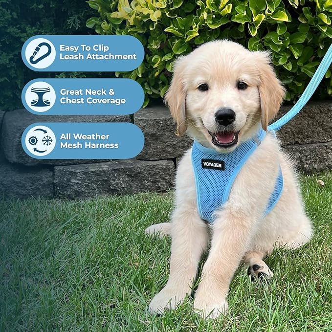 Voyager Step-in Air Dog Harness - All Weather Mesh, Reflective, No Pull Harness for Small, Medium Dogs, Cats - Secure with Hook & Loop Fastener, Buckle, Double D-Rings - Baby Blue, L
