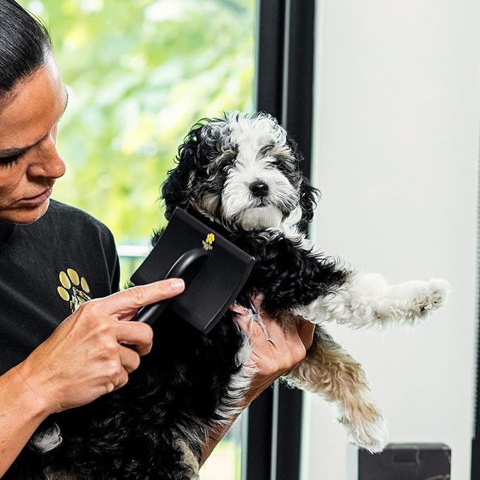 Slicker Brush for Dogs | Professional Dog Shedding Brush and Grooming Comb for Small Dog Breeds and Puppies | Ergonomic and Removes Shedding and Tangled Hair for Shiny Coat - Black