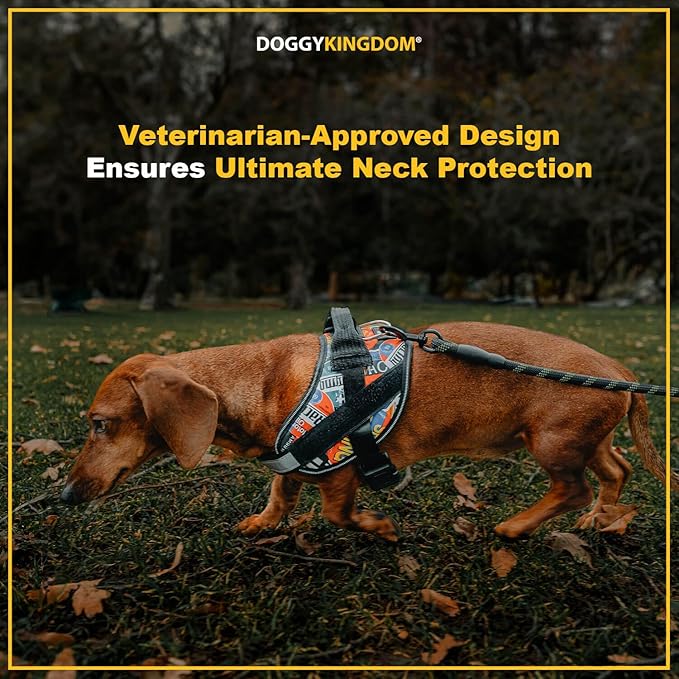 Non Pull Dog Harness with Patch Panels and Handle, Adjustable, Reflective, No Choke, Heavy Duty Easy On Service Dog Vest Harnesses for Medium Large Small Sized Dogs - Motorsport, L