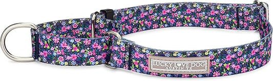 Lucky Love Dog Martingale Collar, Premium No Slip Collar for Small Dogs, Flower Martingale Collar for Girl Dogs, Great for Whippets, Greyhounds, and More (Primrose, Small)