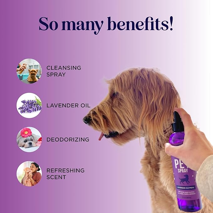 Lavender Oil Dog Deodorizing Spray - Dog Spray for Smelly Dogs and Puppies and Dog Calming Spray with Lavender Essential Oil - Lightly Scented Dog Deodorizer for Smelly Dogs and Dog Essentials