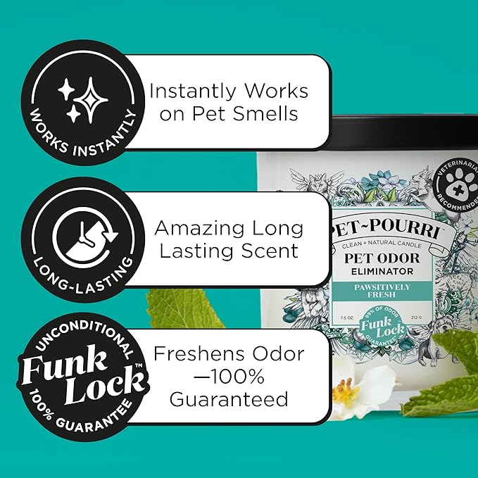 Pet-Pourri Pawsitively Fresh Pet Deodorizer Candle – Pet Safe Plant Based Ingredients & Wax – Vet Approved – Aromatherapy & Air Freshener for Pet Odor – Scented with Pineapple, Jasmine, & Pear