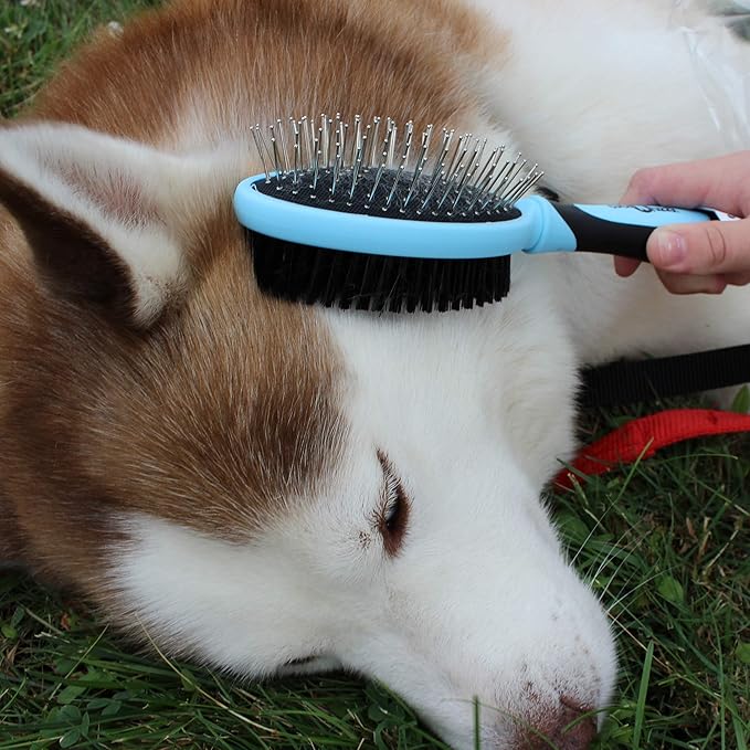 Double Sided Pet Grooming Brush, Royal Blue