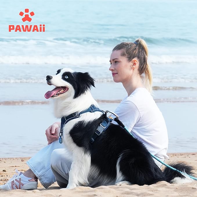 Pawaii Dog Harness for Small Dogs, Dog Harness with Pet ID Tag, No Choke Dog Harness, Adjustable Soft Padded Pet Vest with Easy Control Handle