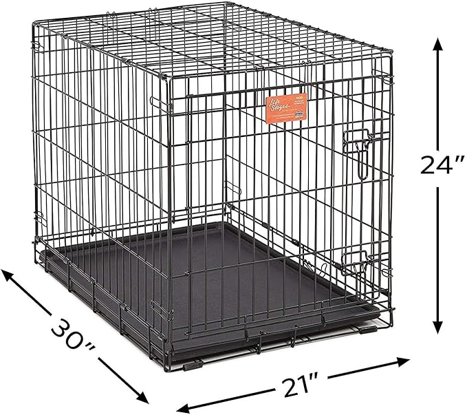 MidWest Homes for Pets Medium Dog Crate | Midwest Life Stages 30' Folding Metal Divider Panel,Floor Protecting Feet,Plastic Tray 30L x 19W 21H Inches,Breed