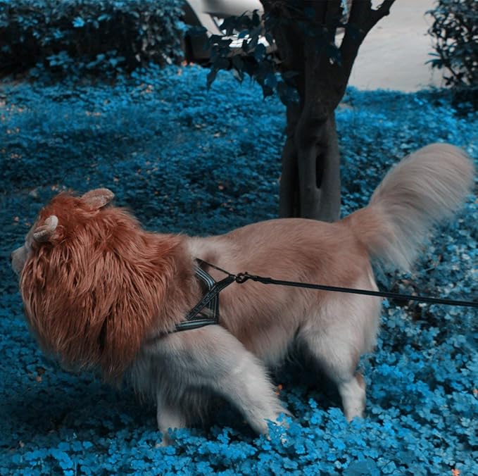 Basting Brush & Dog Lion Mane Constume-Love BBQ, Love Dog