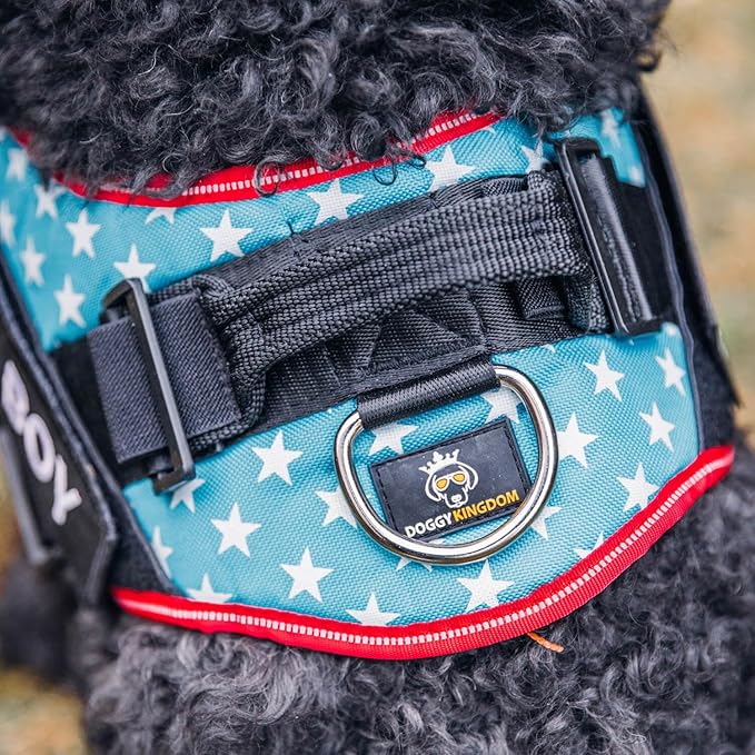 Non Pull Dog Harness with Patch Panels and Handle, Adjustable, Reflective, No Choke, Heavy Duty Easy On Service Dog Vest Harnesses for Medium Large Small Sized Dogs - Motorsport, L