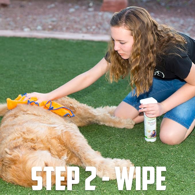 Waterless Dog Shampoo No Rinse Dry Shampoo for Dogs (16oz), Detergent and Alcohol Free, Apple Extract - Perfect for Spot Cleaning The Dog Coat - Made in USA