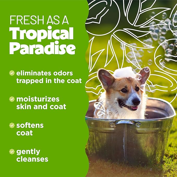 TropiClean Deodorizing Dog Shampoo for Smelly Dogs, Powerful Odor Control, Puppy Safe, Made in the USA, Aloe & Coconut Scent, Cat Friendly, 20oz.