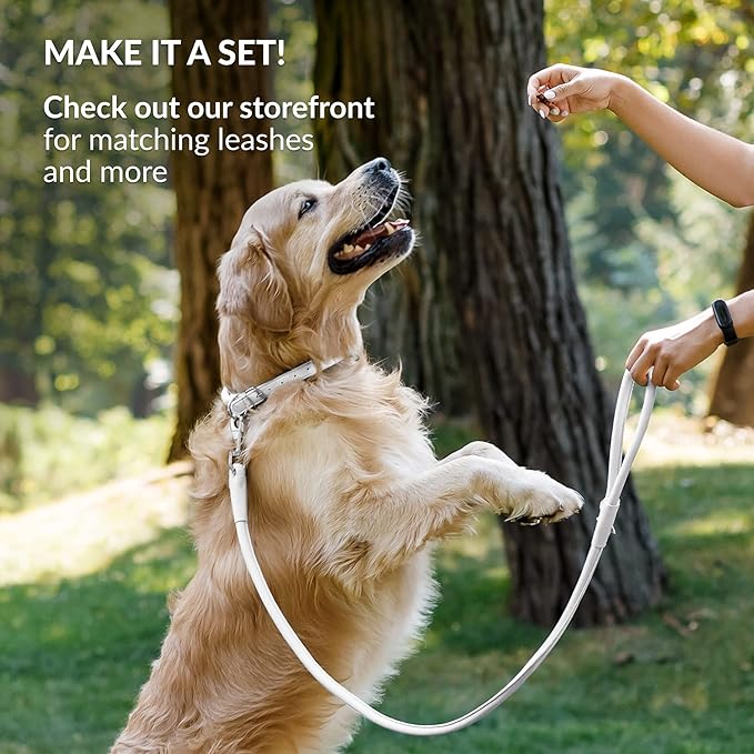 CollarDirect Rolled Leather Dog Collar, Soft Padded Round Puppy Collar, Handmade Genuine Leather Collar Dog Small Large Cat Collars 13 Colors (18-22 Inch, White Smooth)