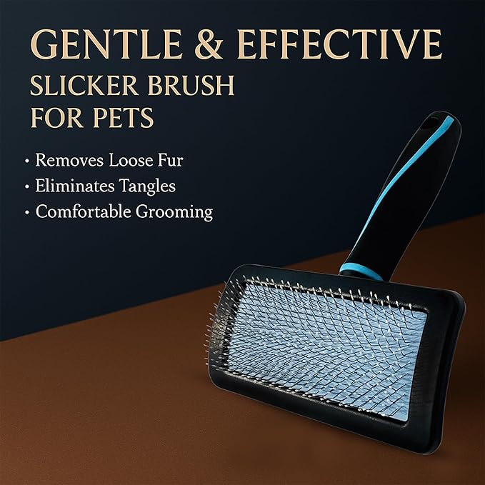 Pet Slicker Brush (Medium Size, Black) for Grooming Pet Hair with Fluff Detangle Style β Dog Brush for Long & Short Haired Dogs for Goldendoodles β Curved Pin for β Removes Tangles & Loose Fur