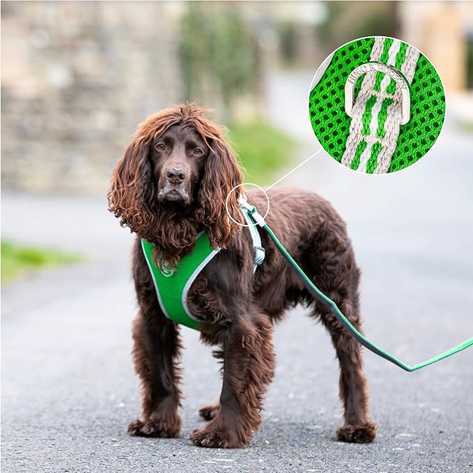 HUGO & HUDSON Dog Harness No-Pull Pet Harness Adjustable Quick Dry Mesh Padded Vest, Green, S