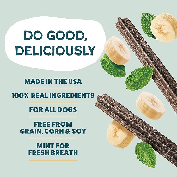Shameless Pets Banana Bone-Anza Dental Treats for Dogs - Dental Sticks with Hip & Joint Support for Teeth Cleaning & Fresh Breath - Grain, Corn & Soy Free (32 Sticks)