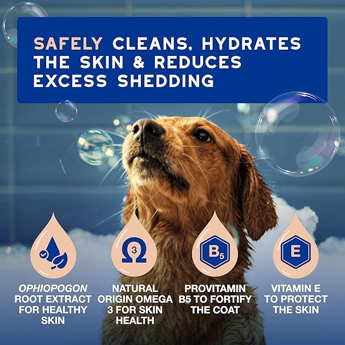 DOUXO® Skin & Coat SPA - Ultra-Safe Dog Shed Control Shampoo, 16 fl oz, Reduces Excessive Shedding, Cleans and Hydrates The Skin, Leaves The Coat Soft, Strengthened and Radiant, Skin-Friendly Formula