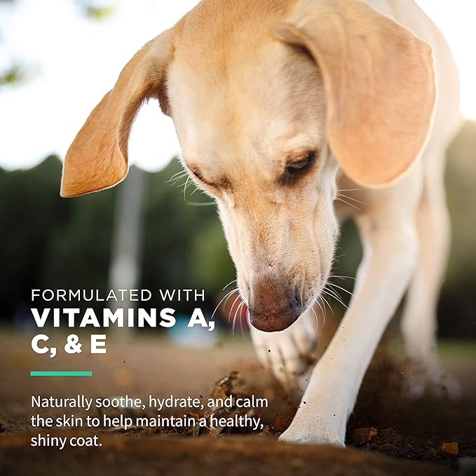 Wet Ones for Pets Hypoallergenic Multi-Purpose Dog Wipes with Vitamins A, C & E, 50 Count - 12 Pack | Fragrance-Free Hypoallergenic Dog Wipes for All Dogs Wipes Multipurpose (FF14365PCS12)