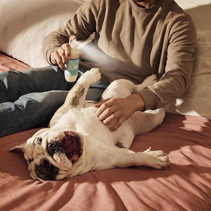 MRS. MEYER'S CLEAN DAY Dog Deodorizing Spray, Sweet Chamomile Scent, 8oz