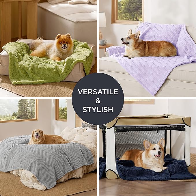 Bedsure Dog Blanket for Medium Dogs Washable - Soft Fluffy Puppy Blanket with Premium 300GSM Coral Fleece, Cozy Calming Cat Blankets for Indoor Cats, Fuzzy Pet Blanket for Kitten Doggy, Light Grey