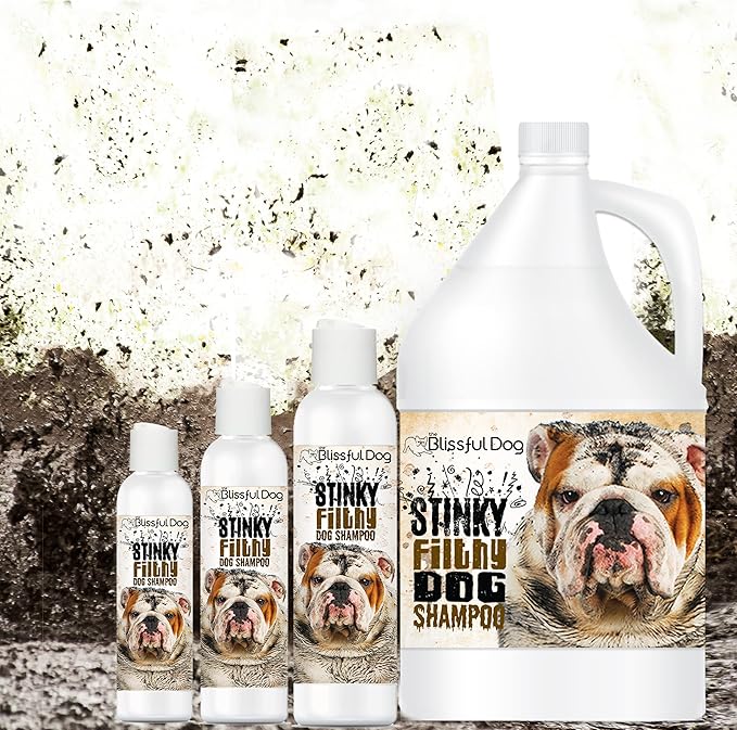 The Blissful Dog Stinky Filthy Dog Shampoo, 1-Gallon