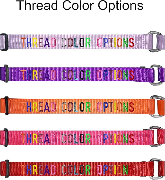 Blueberry Pet Essentials Personalized Martingale Safety Training Dog Collar, French Pink, Small, Adjustable Customized ID Collars for Dogs Embroidered with Pet Name & Phone Number