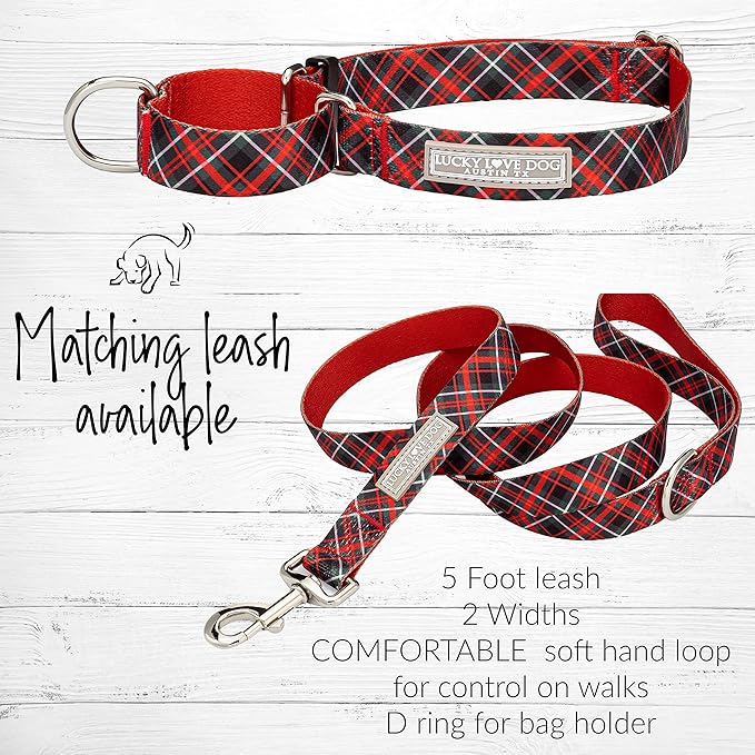 Lucky Love Dog, Evergreen No Slip Dog Collar, Vivid Berry Plaid Martingale Dog Collar for Boy and Girl Dogs - (Small, Heywood Martingale)