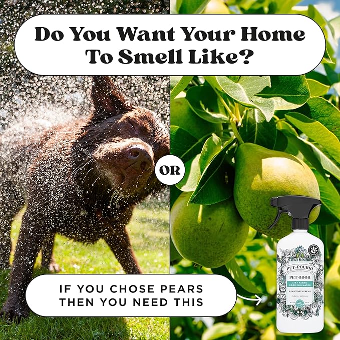 Pet-Pourri Pawsitively Fresh Pet Deodorizer Candle – Pet Safe Plant Based Ingredients & Wax – Vet Approved – Aromatherapy & Air Freshener for Pet Odor – Scented with Pineapple, Jasmine, & Pear