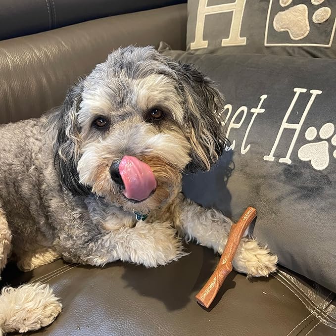 SPOT Bam-bones PLUS Branch -Bamboo Fiber & Nylon, Durable Long Lasting Dog Chew for Aggressive Chewers – Great Toy for Adult Dogs & Teething Puppies under 60lbs, Non-Splintering, 5.75in, Beef Flavor