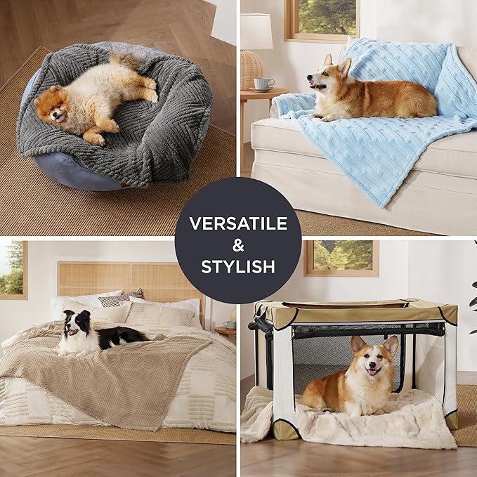 Bedsure Dog Blanket for Medium Dogs Washable - Soft Fluffy Puppy Blanket with Premium 300GSM Coral Fleece, Cozy Calming Cat Blankets for Indoor Cats, Fuzzy Pet Blanket for Kitten Doggy, Blue, 30x40IN