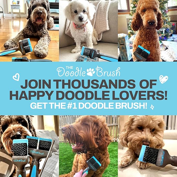 Doodle Brush Slicker Brush for Dogs - Doodle Detangler for Goldendoodle, Bernedoodle, Cockapoo, Cavapoo - Dog Brushes for Grooming & Dematting - Dog Grooming Brushes - Poodle Pin - Extra Long Pin