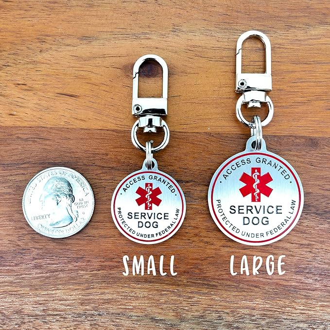 Service Dog ID Tag for Small & Large Dogs - Emotional Support ESA Medical Alert Collar Accessory - Durable Stainless Steel Service Animal Tag - Classic Service Tag in Silver Large