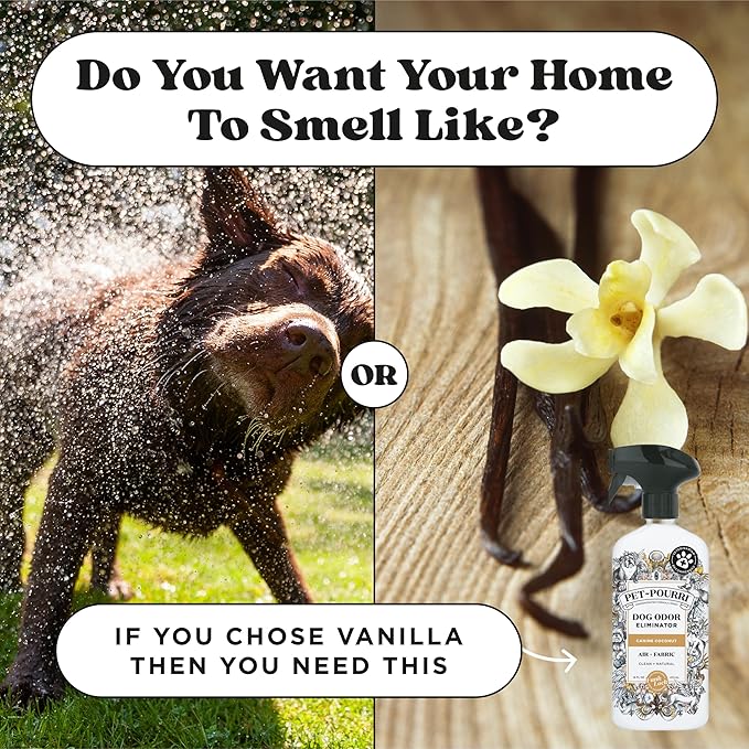 Pet-Pourri Pet Odor Air + Fabric Odor Eliminator Spray, Canine Coconut, 16 Fl Oz