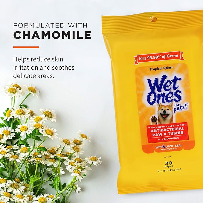 Wet Ones for Pets Paw & Tushie Dog Wipes with Chamomile, Tropical Splash Scent - Cleansing Doggie Wipes for Between Baths, Scented Travel Grooming Wipes, Dog Wipes for Paws and Butt, 30 Count