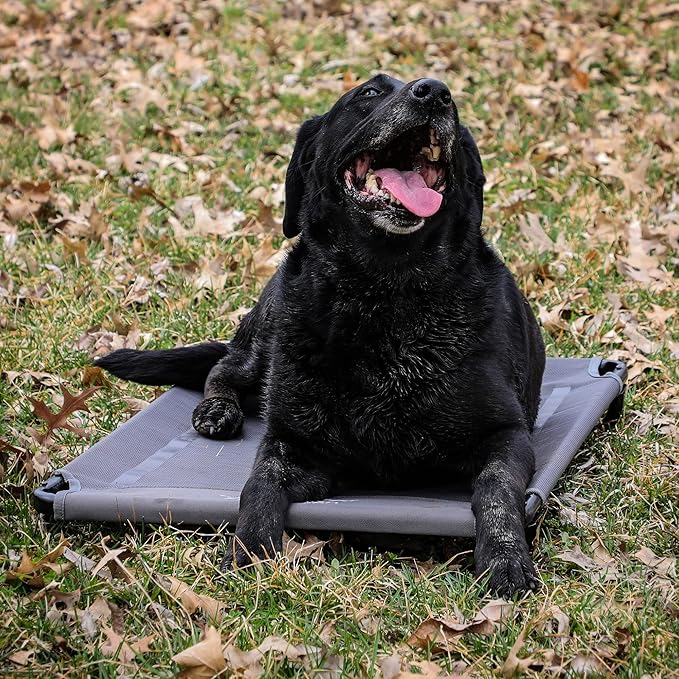 Momarsh Low Profile Dog Cot for Kennels, Crates, Boats & Layout Binds | Comfortable Low Profile Platform & Frame Fits in Most Medium Kennels