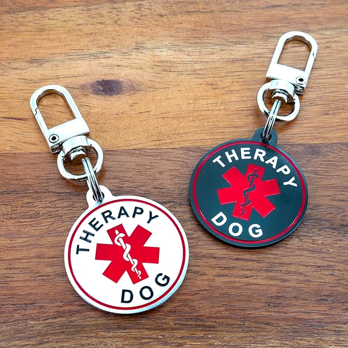 Service Dog ID Tag for Small & Large Dogs - Emotional Support ESA Medical Alert Collar Accessory - Durable Stainless Steel Service Animal Tag - Classic Therapy Dog Service Tag in Silver Large