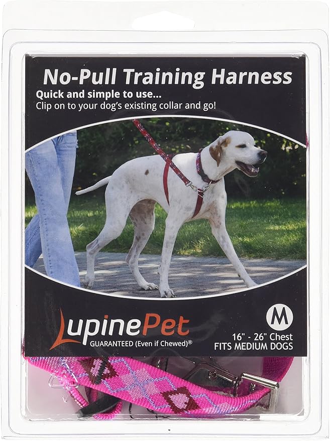 LupinePet Originals 3/4" Puppy Love 16-26" No Pull Harness for Small-Medium Dogs