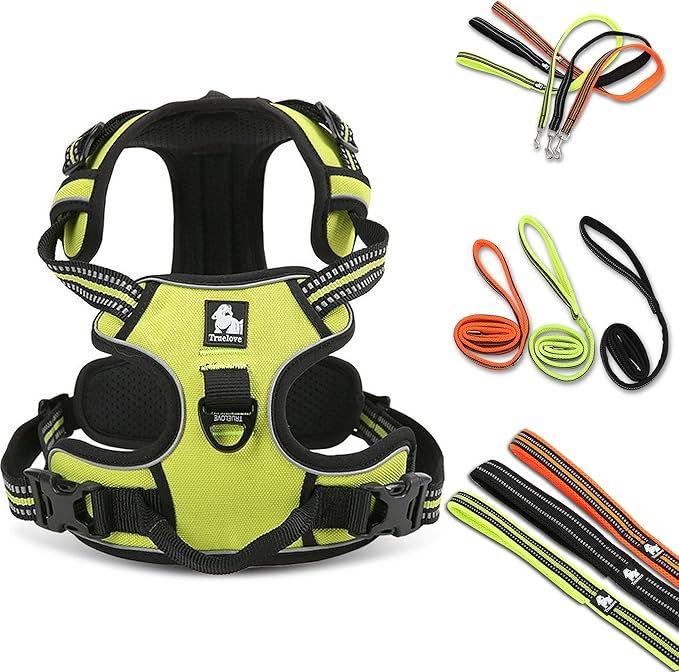 Reflective Nylon No-Pull Dog Harness and Training Leash Set Padded Durable Adjustable(L, Green Set)