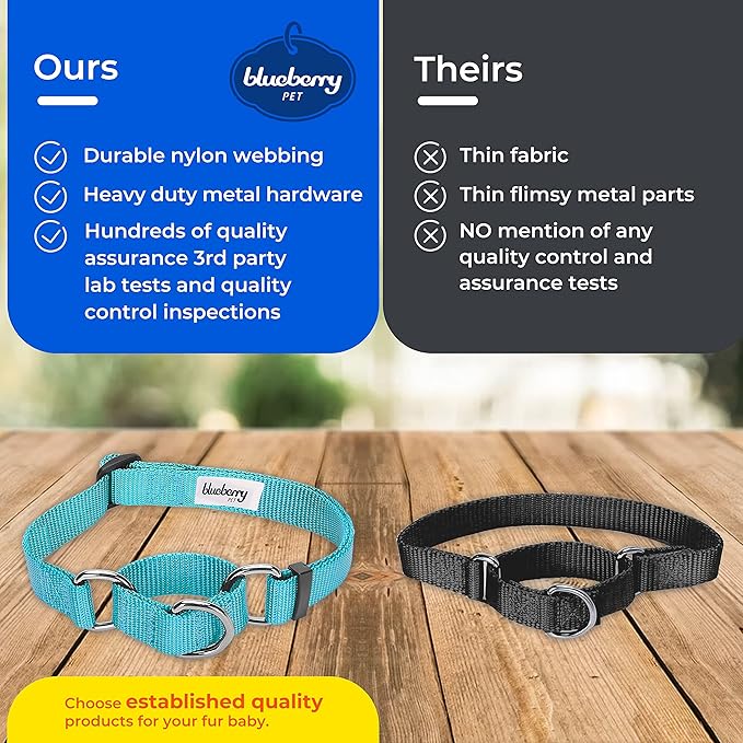 Blueberry Pet Essentials Martingale Safety Training Dog Collar, Neon Green, Medium, Heavy Duty Nylon Adjustable Collars for Dogs