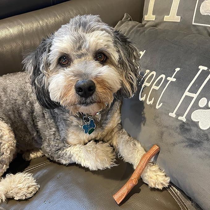 SPOT Bam-bones PLUS Branch -Bamboo Fiber & Nylon, Durable Long Lasting Dog Chew for Aggressive Chewers – Great Toy for Adult Dogs & Teething Puppies under 60lbs, Non-Splintering, 5.75in, Beef Flavor