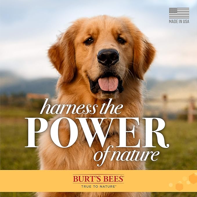 Burt's Bees for Pets Oatmeal Dog Conditioner with Colloidal Oat Flour and Honey, 95% Natural Origin Formulas, Gentle Dog Conditioner, Best Dog Conditioner for Itchy Dogs, 10 oz