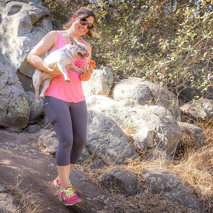 Chuckit Air Fetch Ball Dog Toy, Medium (2.5 Inch Diameter), for dogs 20-60 lbs