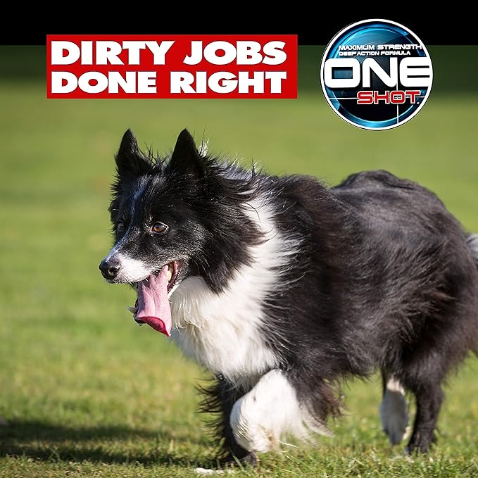 Best Shot One Shot Deodorizing Shampoo, Coat and Skincare Product for Dogs, Cats, and Horses, Eliminates Foul Odors, 1 Gallon
