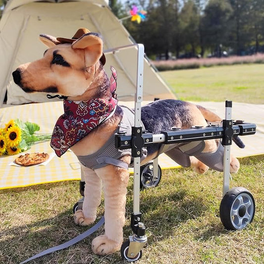 Dog Wheelchair,Lightweight Aluminum Frame with Handle,Extended Leg Straps,Includes Leash,Fits Pugs,French Bulldogs,and Schnauzers(Middle Size)/Beagle,Corgi,and Cocker Spaniel(Large Size)