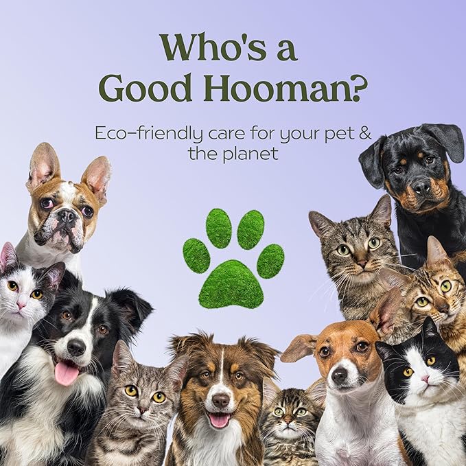 PAWFUME Dog Detangler Grooming Spray, Royal Lavender, 4-Pack – Keeps Pups Fresh All Day – Hypoallergenic, Alcohol-Free, Detangling & Moisturizing – Salon-Quality Dog Necessities for Coat & Fur Care