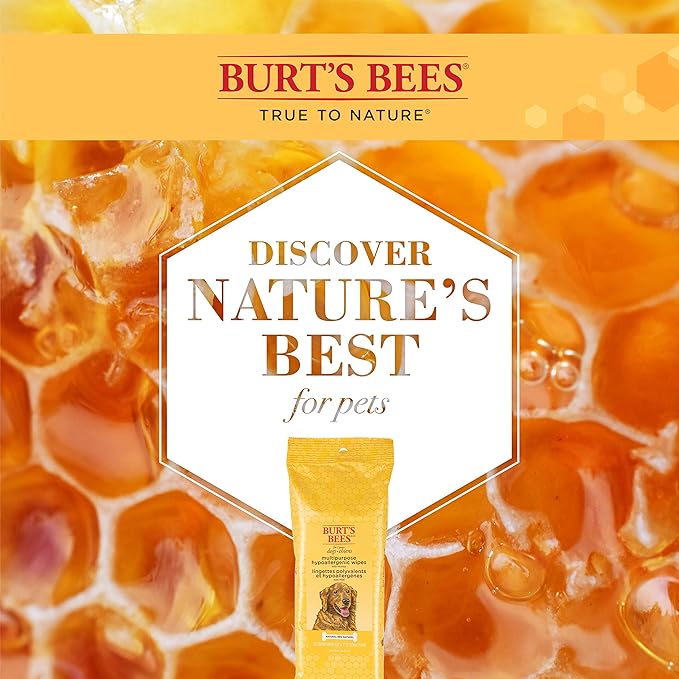 Burt's Bees for Pets Multipurpose Dog Wipes with with Honey, 2pk, 98% Natural Origin Formulas, Hypoallergenic Dog Wipes Cleaning, Dog Cleaning Wipes, Dog Wipes for Paws and Butt, 2pk, 50ct