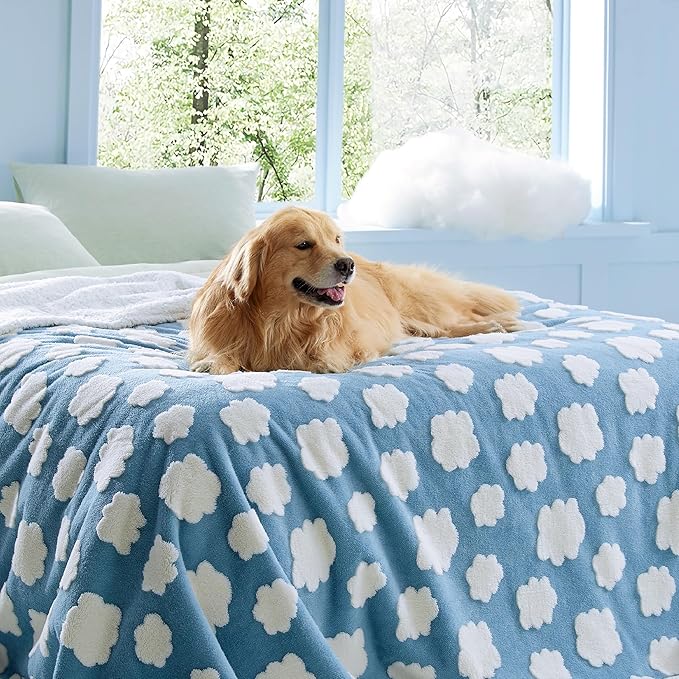 Lesure Waterproof Dog Blanket for Large Dogs - Washable Double Sided Dog Blankets with Warm Jacquard Shag and Soft Sherpa Fleece, Pet Cat Blanket for Queen Bed Protection, 3D Textured Cloud, Blue